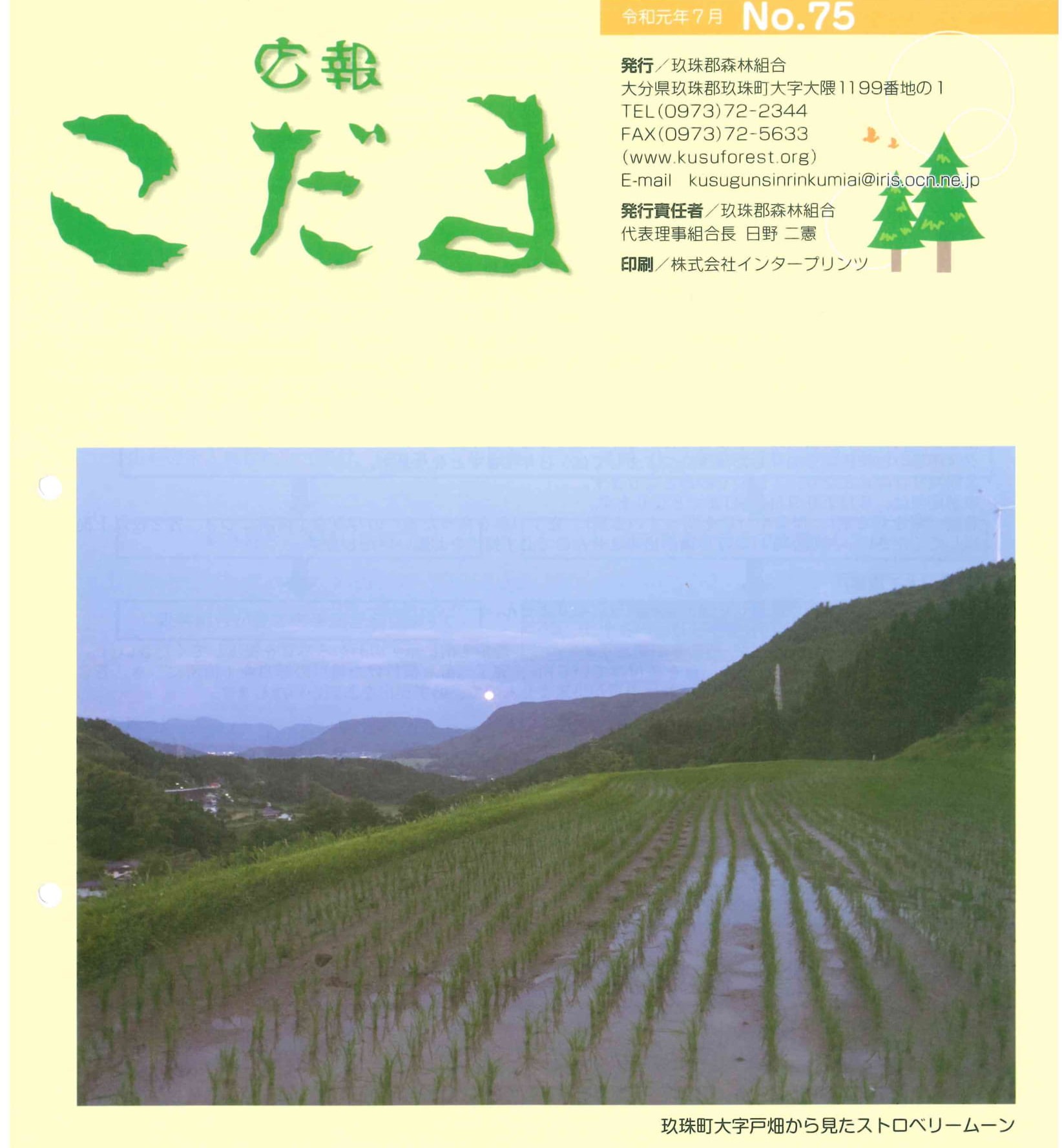 広報こだま 76号（令和２年2月発行）